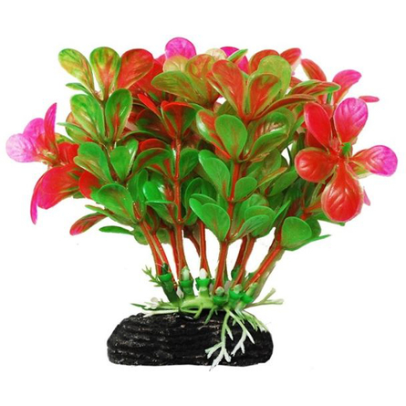 УЮТ Растение аквариумное Бакопа зелено-розовая – интернет-магазин Ле’Муррр
