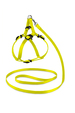 Saival Classic Колор Комплект поводок и шлейка XS (жёлтый) – интернет-магазин Ле’Муррр