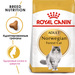 Royal Canin Norwegian Forest Cat Сухой корм для взрослых кошек породы норвежская лесная – интернет-магазин Ле’Муррр