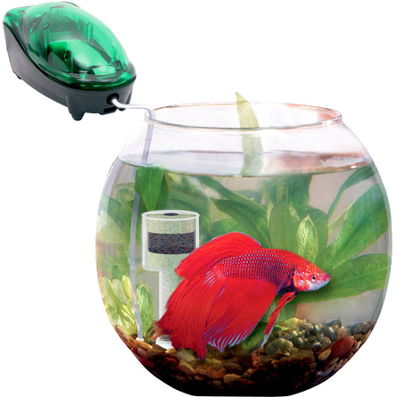 AquaEl Gold-Fish Аквариум для золотой рыбки – интернет-магазин Ле’Муррр