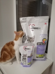 Пользовательская фотография №3 к отзыву на 1st Choice Healthy Start Сухой корм для котят (с курицей)